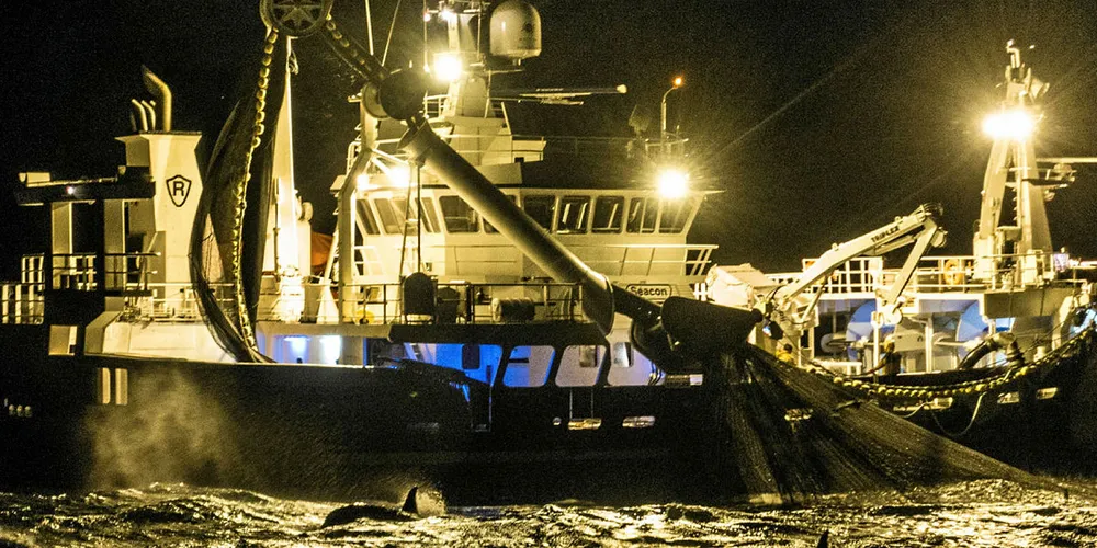 FISKERI: Det går så det suser på havet. Sjømatnæringen i Norge vokser videre, fra 64 milliarder kroner i verdiskaping i 2016 til 71 milliarder kroner i 2017. Her ser vi sildefiske i Kvænangen for kort tid siden.