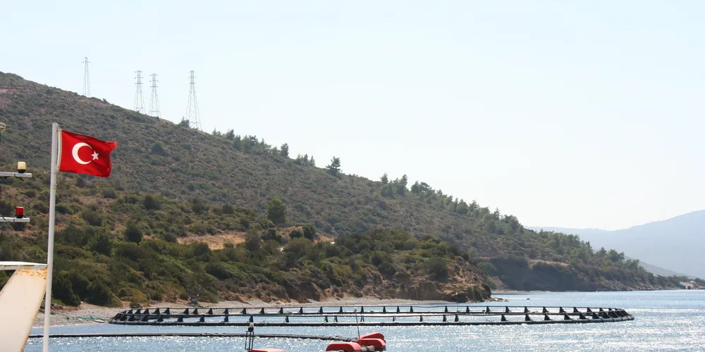 Turkey's aquaculture sector primed for aggressive expansion