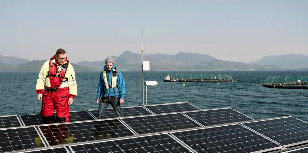 For å redusere bruk av dieselgeneratoren, har Grieg Seafood Rogaland installert verdens første vindmølle og solcellepanel på oppdrettsanlegget Nordheimsøyna i Finnøy kommune.