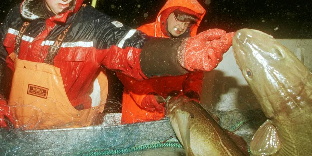 MATVARESIKKERHET: Fiskerne regnes som viktige for å opprettholde matvareforsyningen i Norge, viser listen som Justisdepartementet har laget.