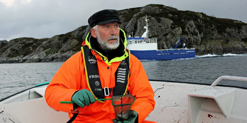 Terje van der Meeren undersøker torsk ved Smøla høsten 2018 i forbindelse med Icod-prosjektet, som kartlegger menneskelig påvirkning på kysttorsken.