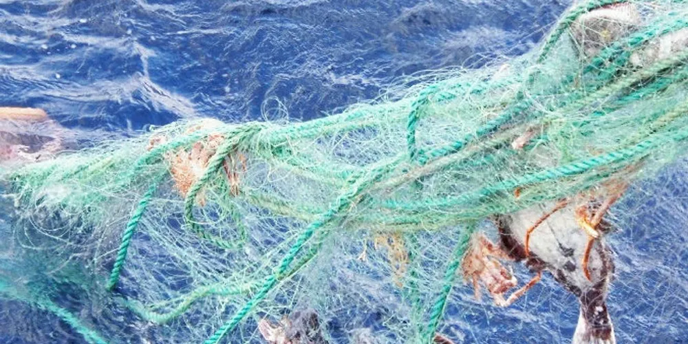 SPØKELSESGARN: Fiskerne i Oslofjorden har lenge bedt Fiskeridirektoratet rydde opp i spøkelsesgarn som står og fisker på bunnen av fjorden.