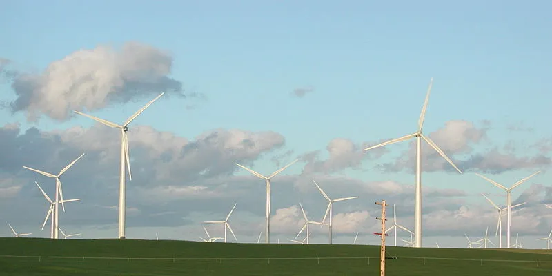 A wind farm in Romania