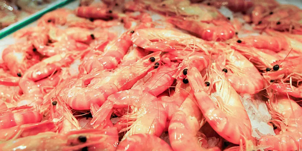 Devi Seafoods took the top prize this year.