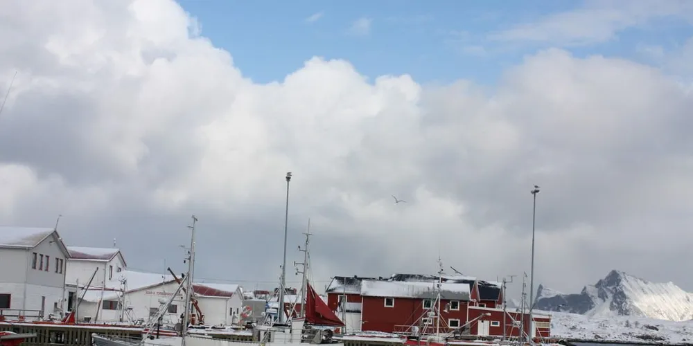 Fiskekjøper Kristian Gjertsen syntes det var artigere før i tida da folk fritt kunne gå på kaia. Nå gjør han det han kan for at fiskerne skal trives i Fredvang havn. Arkivfoto: Terje Jensen