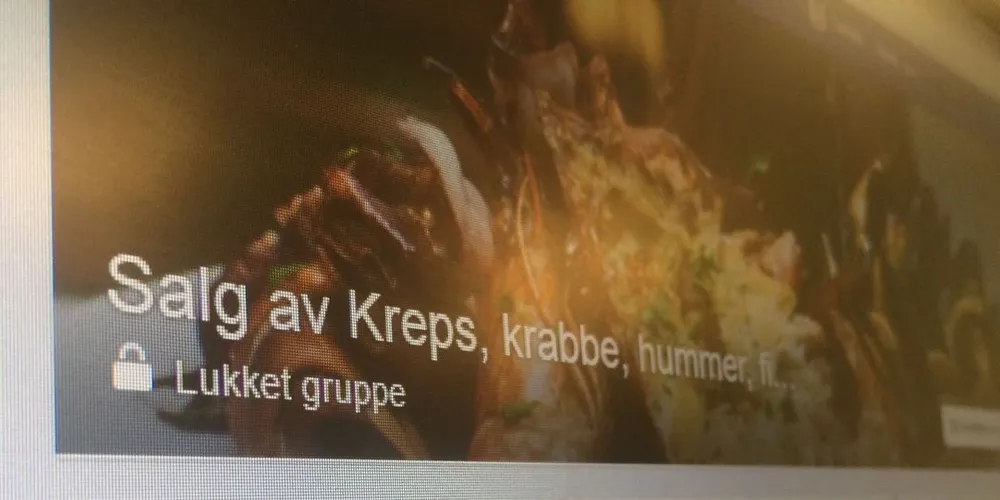 I lukkede grupper på Facebook foregår det ulovlig kjøp og salg av kreps, krabbe og hummer, som Fiskeridirektoratet nå vil slå ned på. Foto: Torhild M. Martinussen
