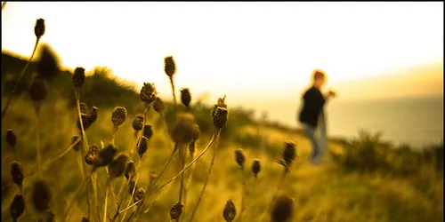 Irish government gives nod to 4% biofuels mandate for 2010