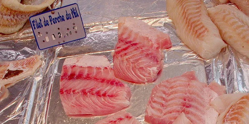 EU market for Nile perch on downhill slide