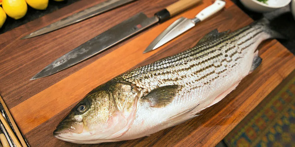 Pacifico striped bass.
