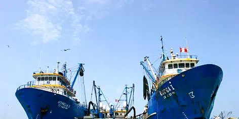 Copeinca appoints new CEO