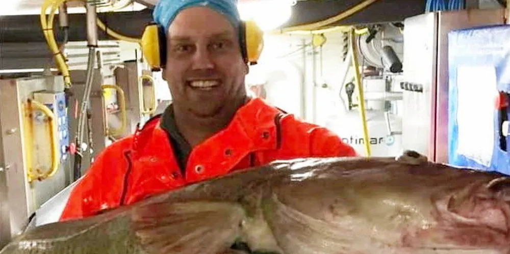 Stefan Oterholm kan glede seg over store torsker i jobben han stortrives med på fabrikktråleren «Ishavet» til Bluewild-rederiet i Ålesund.