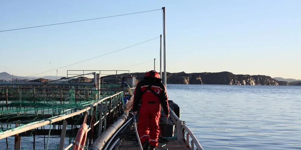 Blom fiskeoppdrett overtar to smoltanlegg på Sotra. Her er Jan Ivar Blom som mater fisken ved anlegget i øygarden. Foto: Elise Årdal