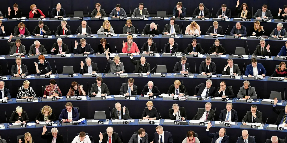 Members of the European Parliament.