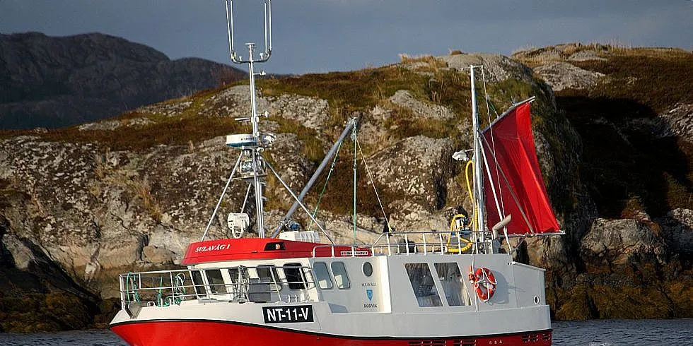 Nye ”Sulavåg 1” tester ut hjemlige farvann. Her på vei inn til levering etter den første turen på fiskefeltet. Foto: Knut Arne Valø