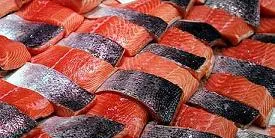 Salmon breaks through blockade