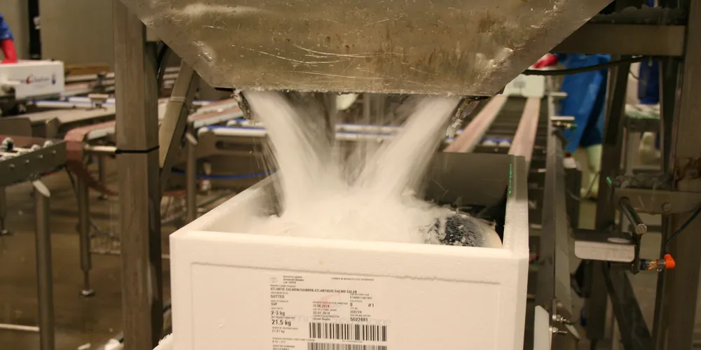 Norwegian salmon prices stable but trending upwards