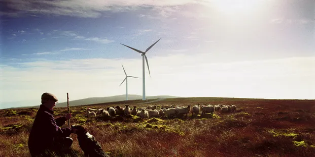 AMP says Ireland benefits from some of the best wind resources in Europe