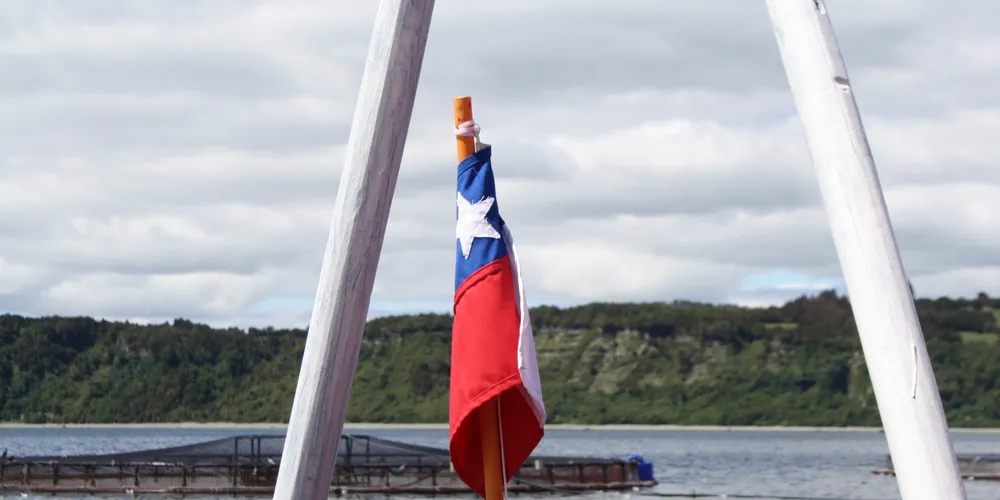 Marine Harvest, Cermaq Chile operations unaffected by earthquake