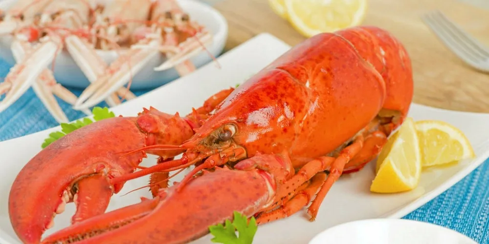 Video: 'Saturday Night Live' takes on the boiling of live lobsters