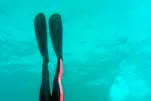 Diving: profits at Halliburton