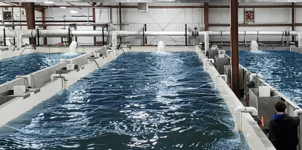 The project is being built on the site of a decommissioned paper mill.