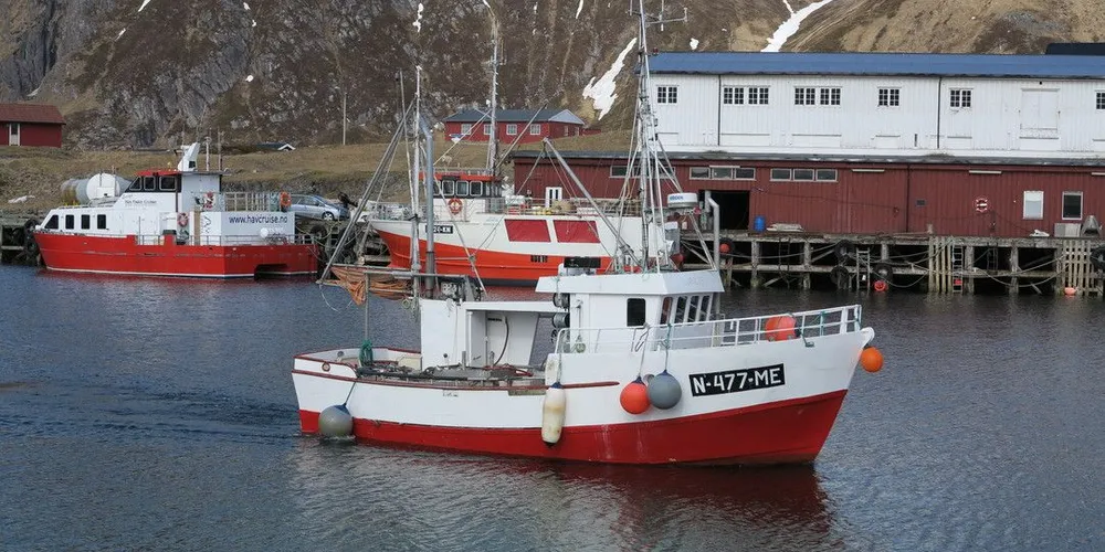 Meløy i Nordland er en av kommunene som har hatt vekst i kvoterettigheter. Foto: Arne Fenstad