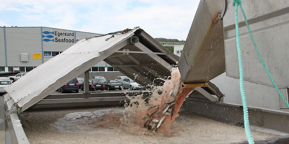 Egersund styrker sin posisjon som pelagisk hovedstad i Norge. Foto: Torhild Måkestad.