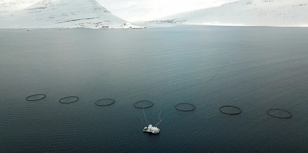 ISLAND: Laxar sin lokalitet Gripaldi i Reydarfjordur på Island.