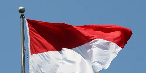 Official: Indonesia's tough stance on IUU fishing paying off