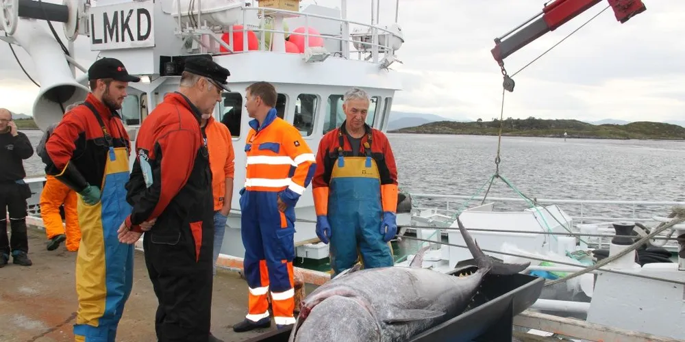 «Hillersøy» fikk 190 størjer på ett kast. Nå gjelder det å finne kjøpere til fangsten. Foto: Torhild Måkestad Martinussen