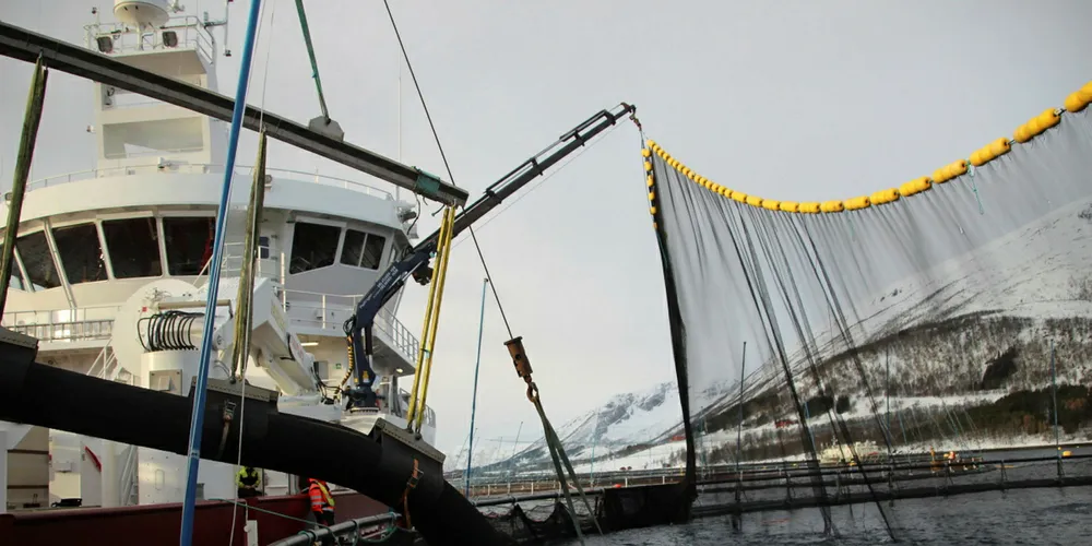 Norwegian farmed salmon prices skyrocket