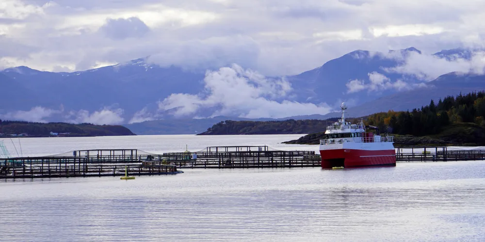 «Hestholmen N» i Fugløyfjorden i Gildeskål på Helgeland er ett av Nova Seas mange anlegg.