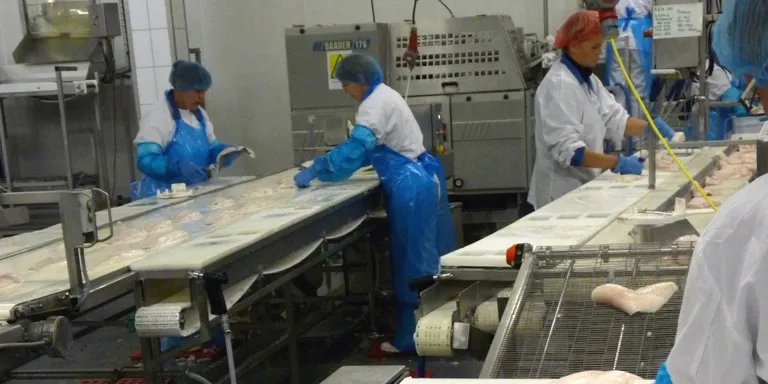 EU processors worried over leaked duty plans