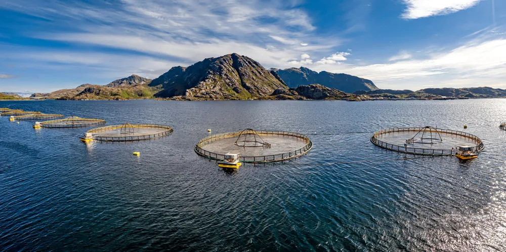 SalMar wanted to increase production capacity at its site in Norwegian Oalusskjaeret in central Norway. (The picture is not related to the text.)