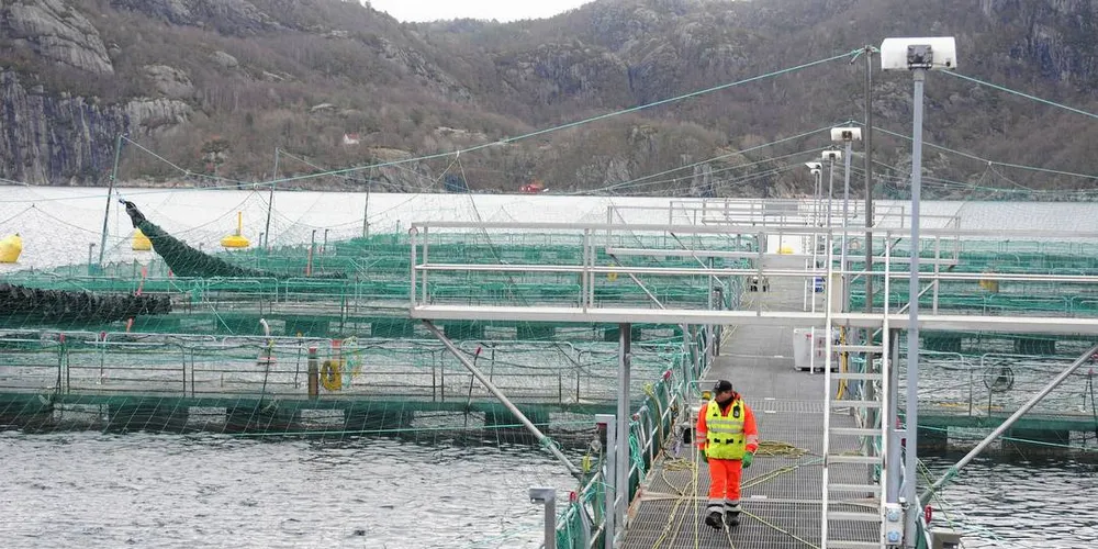 Avgift: — Jeg skjønner at kommunene er utålmodige. Men når det nye vekstsystemet trer i kraft, vil det ha stor betydning for havbruksfondet, skriver fiskeriministeren i dette innlegget.Ill.foto: Kjersti Kvile