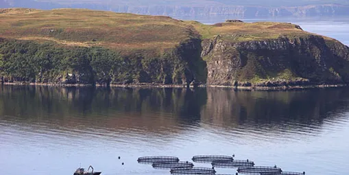 Scotland plans to double aquaculture sector to £3.6 billion by 2030
