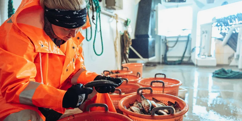 På 90-tallet ble det rapportert om flere utbrudd av sildesopp i sild både i Nordsjøen og Skagerrak, skriver forsker Julia Storesund, som her er avbildet.