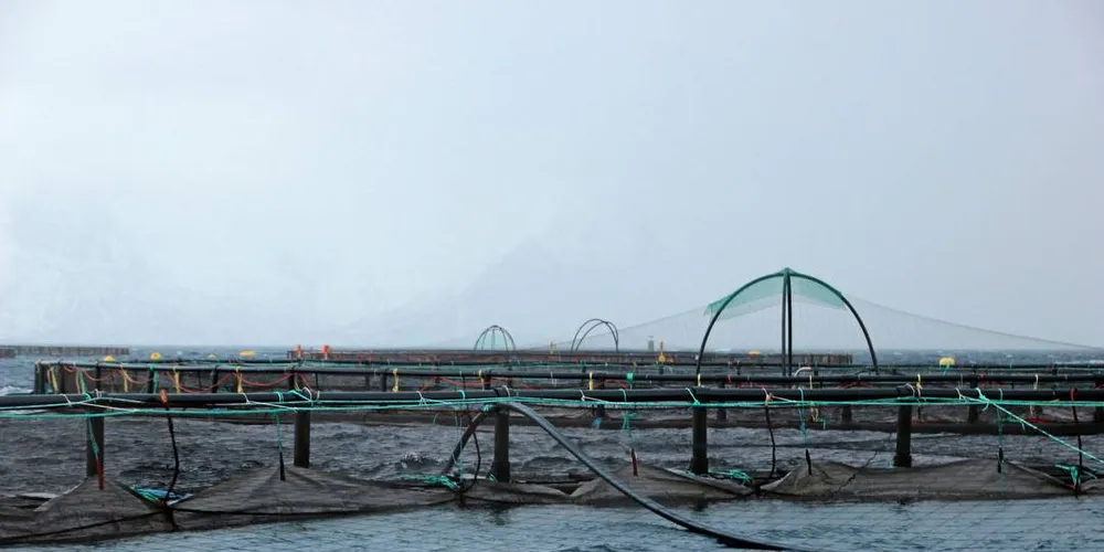 Oppdrett: Merete Kristiansen i Nordlaks oppfordrer oppdrettsnæringa til å tro på seg selv og jobbe framtidsrettet.Arkivfoto: Anders Furuset