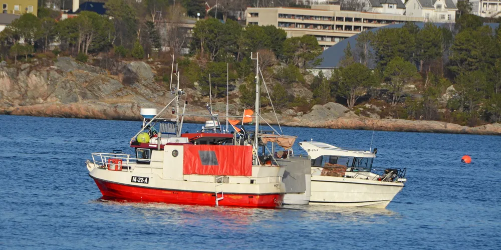 «Hoff Jr» (M22A) og «Storholm» (M83A) på slapp til med teinefiske etter kreps i Borgundfjorden.