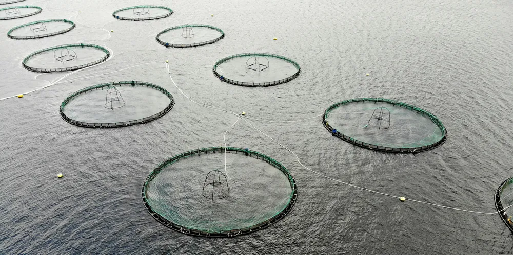 Hvis nedtrekket strekker seg over mer enn to år blir dette fort et milliardbeløp.