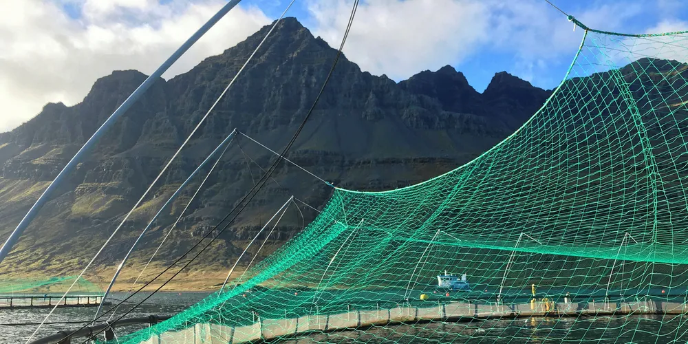 Ice Fish Farm's Atlantic salmon pens in Iceland.