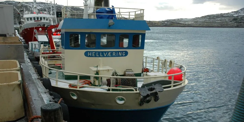 "Hellværing". Foto: Gunnar Sætra.