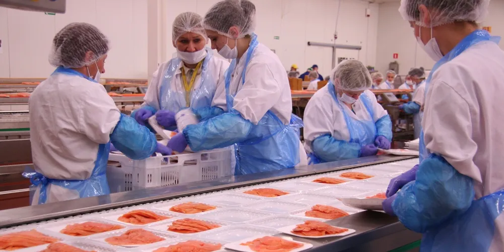 Marine Harvest CEO: No hurry to find new Morpol chief