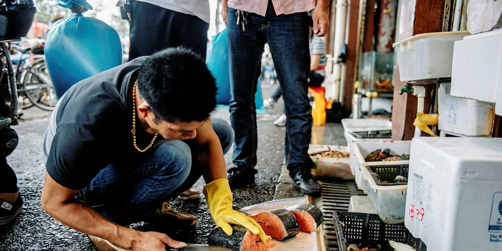 Chinese authorities suspect massive amounts of frozen salmon is making its way illegally across its borders from Vietnam.