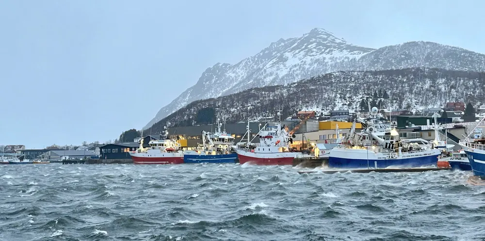Det er meldt sterk storm fra sørvest, til dels orkan i Lofoten og Vesterålen, mandag. Da Fiskeribladet var innom Myre havn i 11-tida var det god kok i havnen, men det verste været hadde ikke slått til enda.