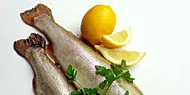 QA Fish targets specialist retailers after No Catch acquisition