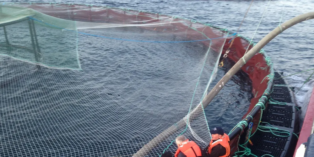 Photo: Scottish Sea Farms