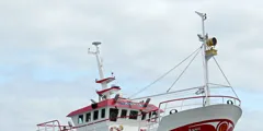 Vivier-crabber Ireland