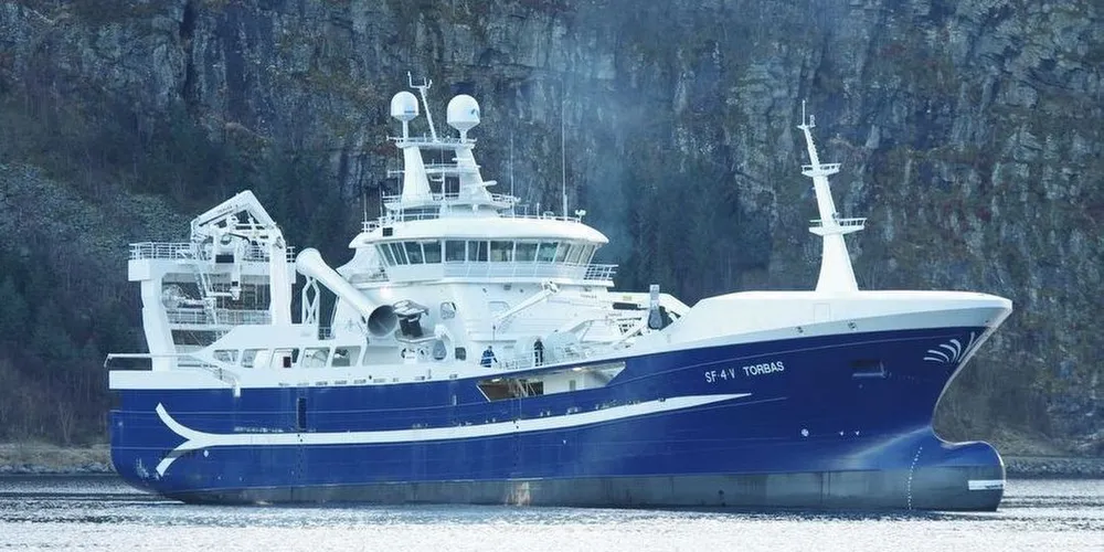 Torbas har tatt bra med kolmule de siste dagene.