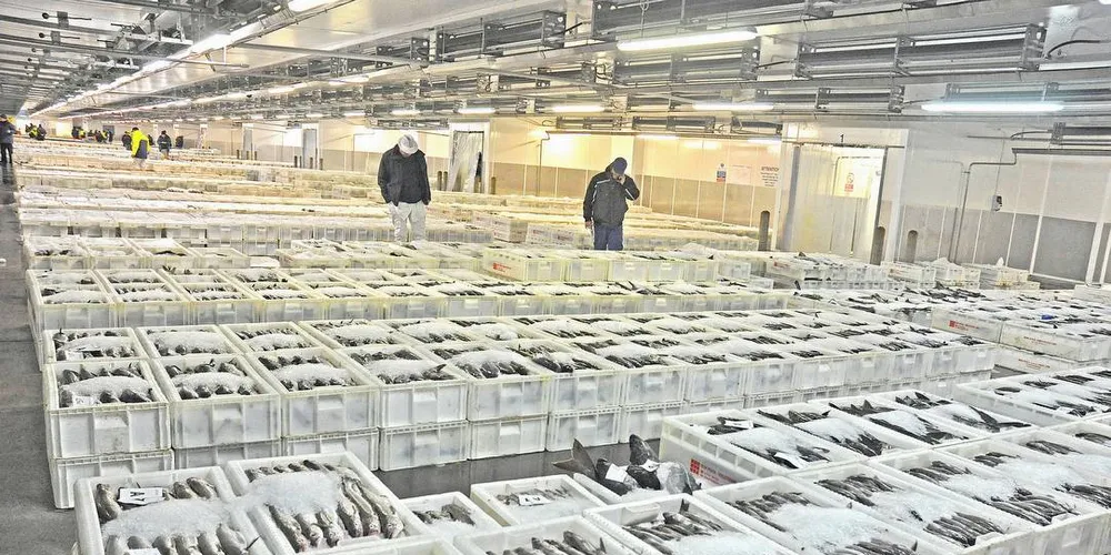 MSC: Miljøsertifiseringene oppdateres stadig. Det bekymrer norske fiskere. Her fra et fiskemarked i Peterhead i Skottland med MSC-godkjent fisk.